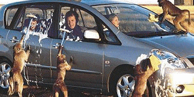 как подготовить машину к весне: мойка