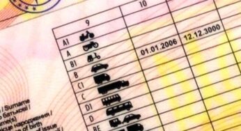 Водійське посвідчення можна перевірити онлайн: що потрібно знати водіям