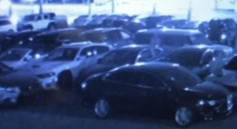 Злодії викрали з салону п’ять автомобілів на суму $ 250 000: відео