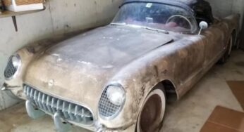 Рідкісний Chevrolet Corvette першого покоління простояв в гаражі 53 роки
