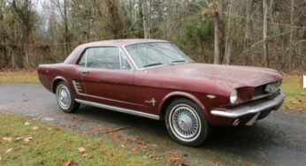 Ford Mustang 1966 знайшли в гаражі майже без іржі на кузові та з маленьким пробігом