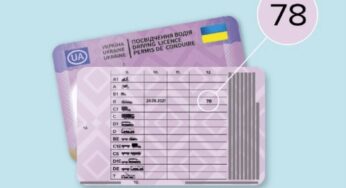 Новые водительские удостоверения с 29 декабря: что в них изменилось