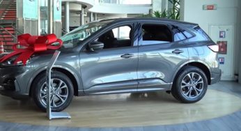 Почему новые автомобили в Украине дешевеют, несмотря на войну