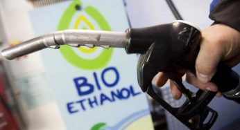 Водителям рассказали, безопасно ли заливать в авто биотопливо