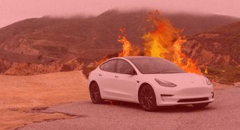 У автопилота Tesla нашли серьезный баг: у водителя нет шанса среагировать перед аварией