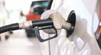 Більше дефіциту не буде? В Україні значно зросла кількість імпортерів пального