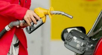 Биотопливо в Украине: водителям рассказали о его преимуществах