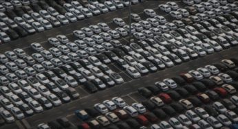 Розмитнення авто в Україні: на скільки поповнився дорожній фонд після повернення мит