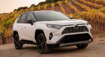 Toyota приостановит производство RAV4: назвали причину