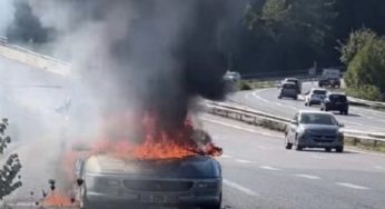 Рідкісна Ferrari за 100 000 доларів повністю згоріла під час тест-драйву
