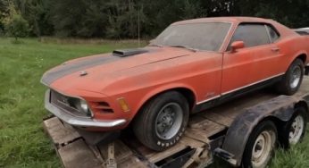 Редкий коллекционный Ford Mustang 40 лет простоял в сарае