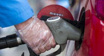 Украинцы стали меньше покупать дизельные автомобили