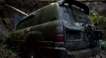 Найкрутіший Toyota Land Cruiser покинули у лісі: що від нього залишилось