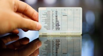 В ЄС значно спростили життя українським автомобілістам