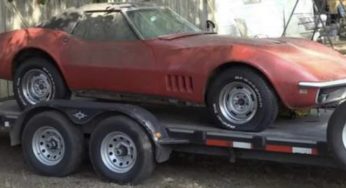 У старому сараї знайшли Chevrolet Corvette, який приховували від поліції 40 років