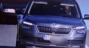 Дорожная камера засняла собаку за рулем авто, едущего со скоростью 135 км/ч: фото