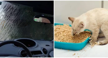 Навіщо досвідчені водії возять у машині котячий наповнювач: 3 маловідомі лайфхаки