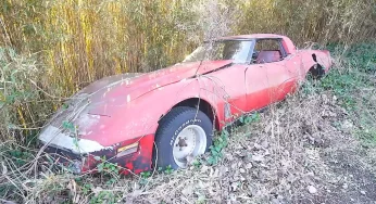 Японцы показали душераздирающее кладбище гниющих спортивных автомобилей: видео