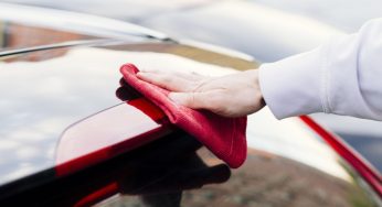Видалення пташиного посліду з автомобіля: як це зробити, щоб не пошкодити фарбу