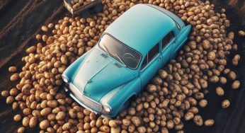 Картофельный лайфхак: 4 способа использовать овощ для ухода за автомобилем