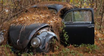 “Не выбрасывай!”: как можно заработать на “убитом” автомобиле