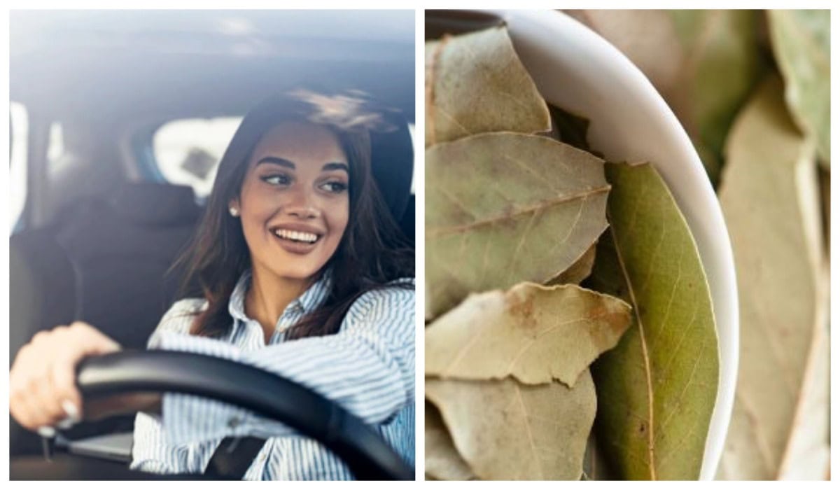 автомобіль-лайфхак-лавровий-лист