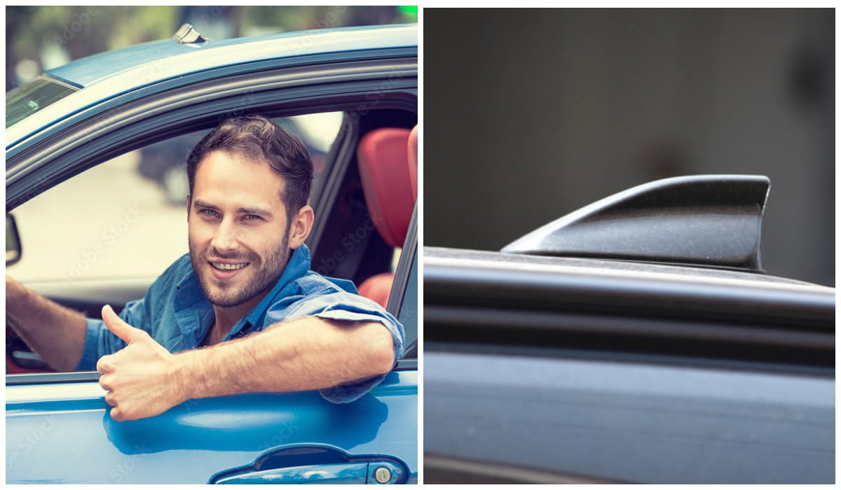 плавник-автомобіль-водій