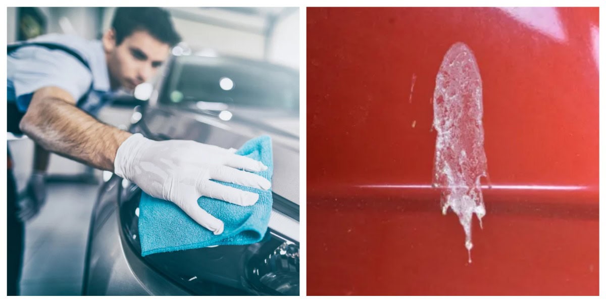 пташиний-послід-автомобіль