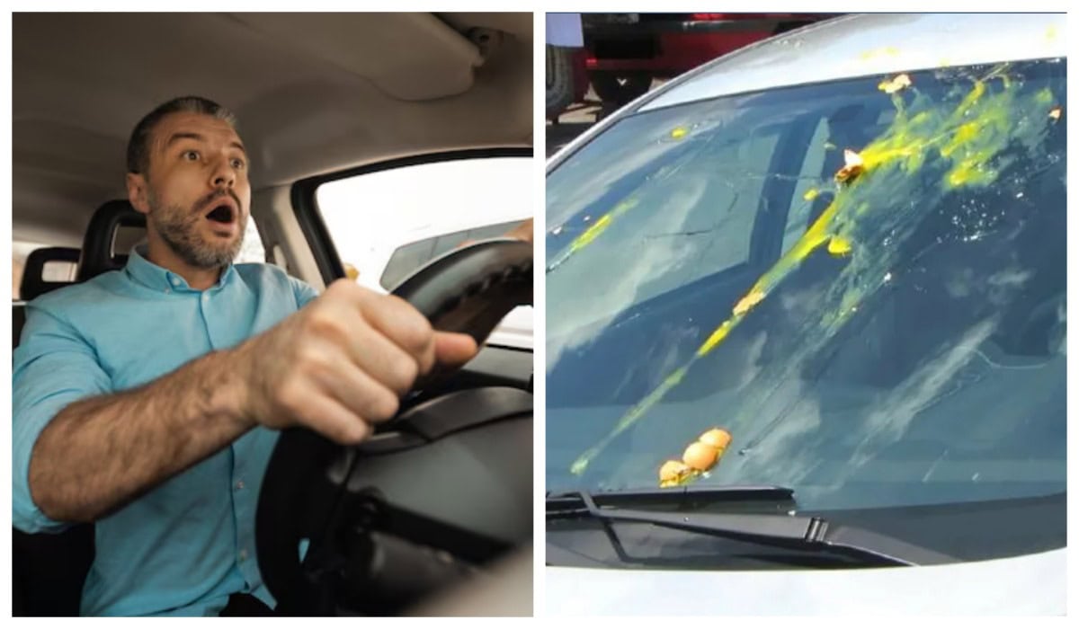 яйця-викрадачі-автомобіль-угон