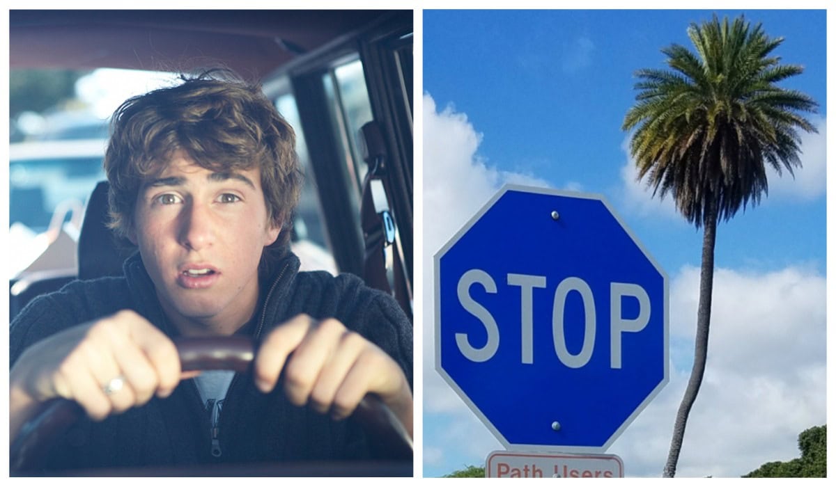 дорожній-знак-stop-водій