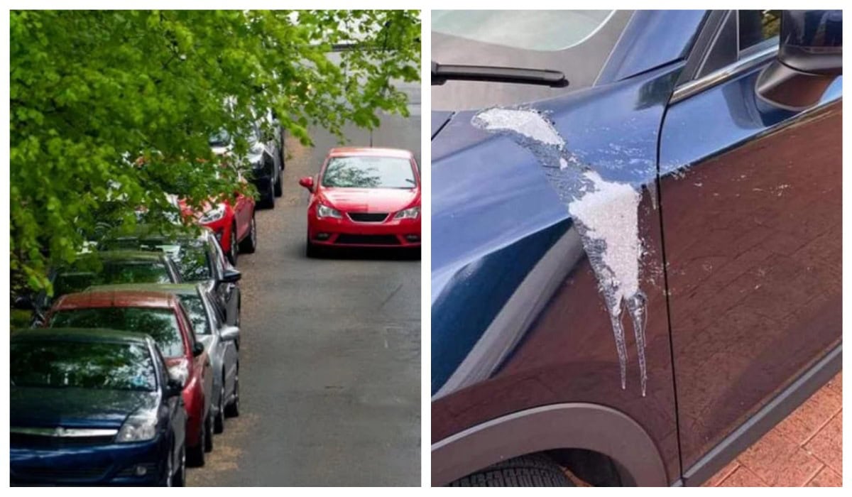 паркування-лакофарбове-покриття-автомобіль