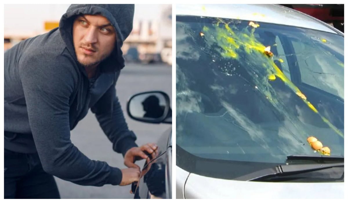 яйця-лобове-скло-автомобіль