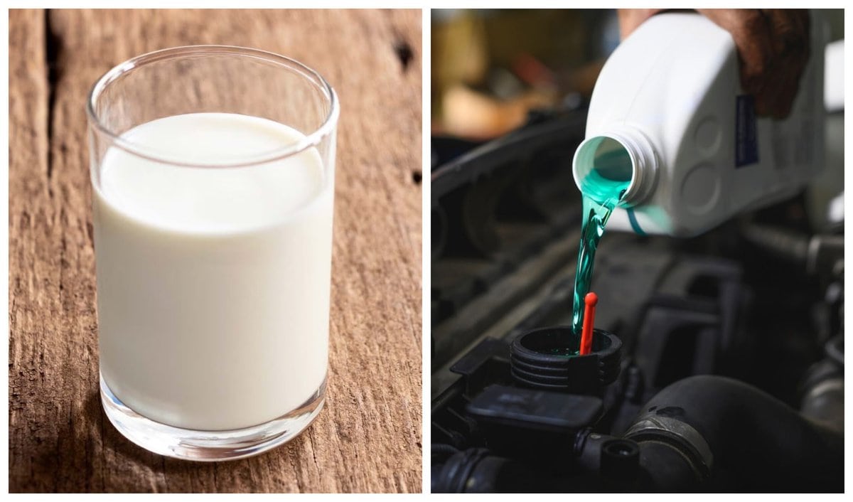 антифри-система-охолодження-молоко