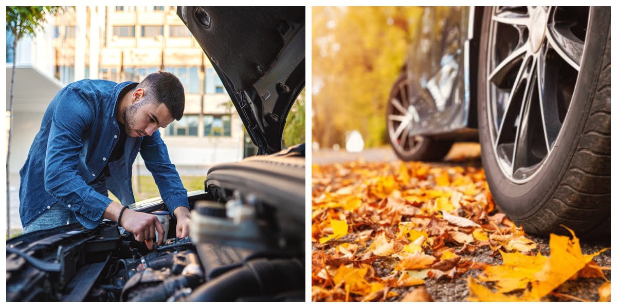 перевірки-автомобілю-листопад