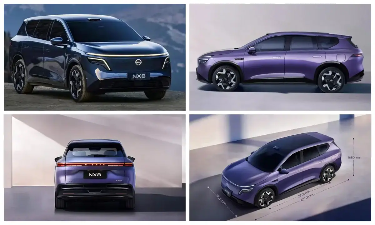 Nissan-Dongfeng-NX8_11zon