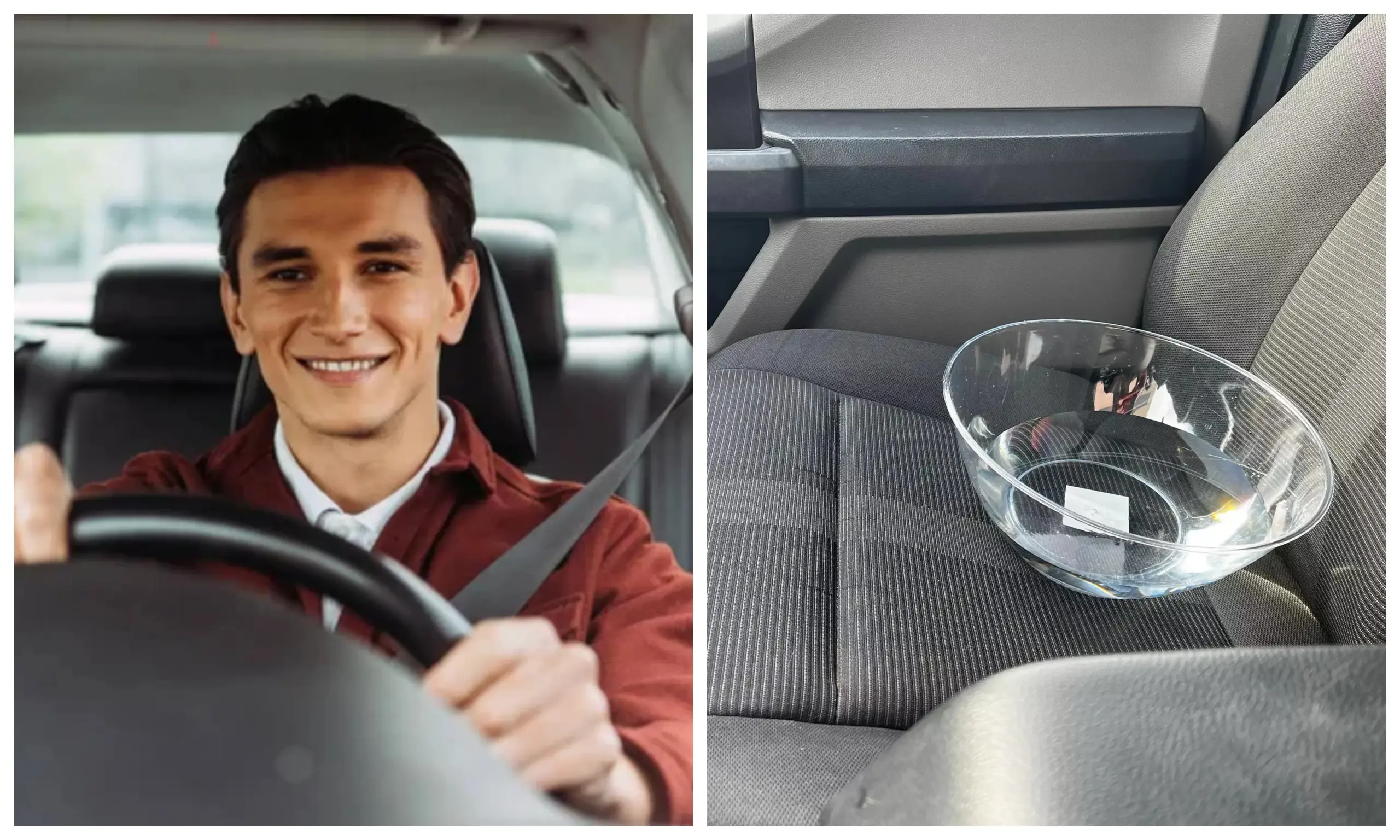 миска-вода-автомобіль-лайфхак